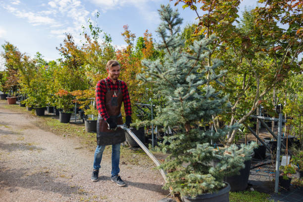 Best Tree Trimming and Pruning  in Riverdale, UT